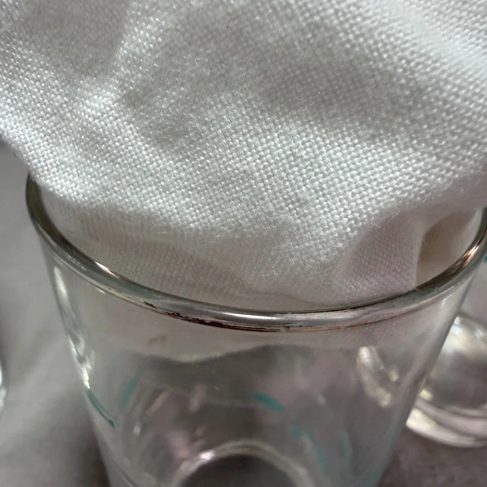 Libbey Mediterranean Atomic Fish Glass Tumblers Aqua MCM Drinking Glass Set of 5